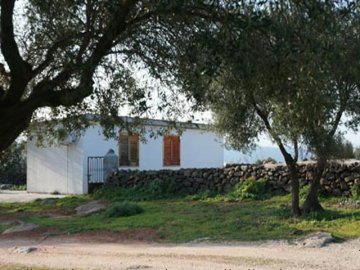 Agriturismo Sardinie - Dorgali - Boerderij Neule (18)